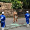 愛媛県立とべ動物園 ・ 動物脱出対策訓練の写真１５