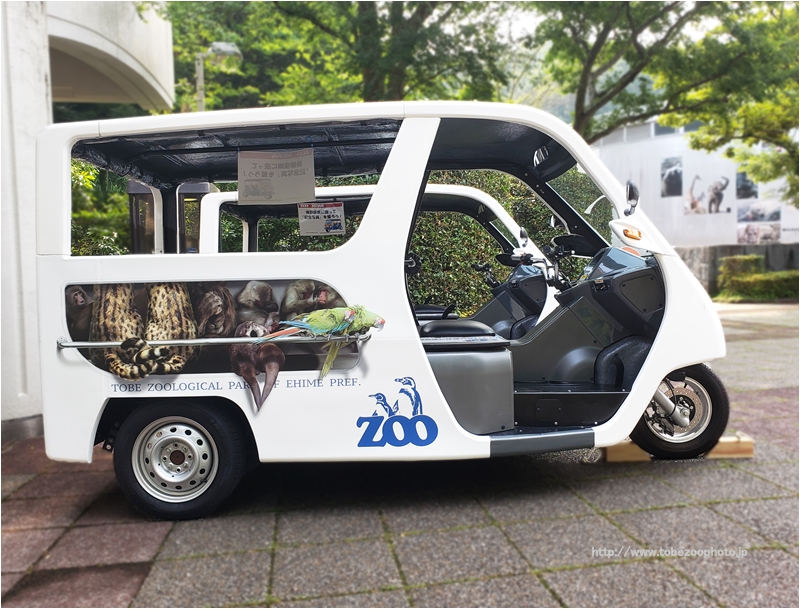 とべ動物園内を三輪電気自動車（EV）が走行の写真３
