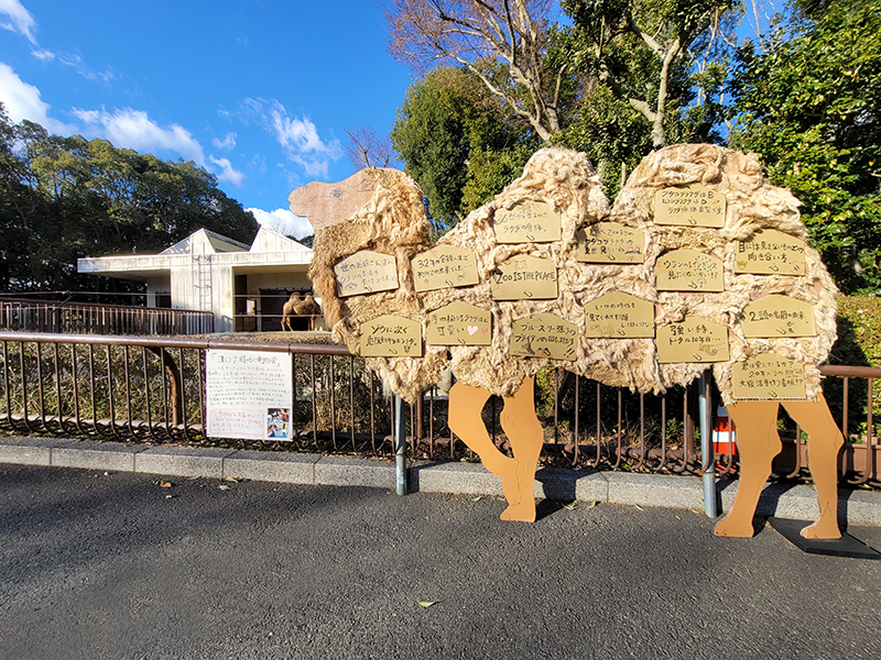 ラクダの看板