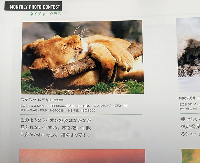 Canonマンスリーフォトコンテストで受賞しました。ありがとうございます。（１）