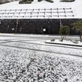駐車場　（真冬、雪景色の愛媛県立とべ動物園　撮影2022年12月23日）