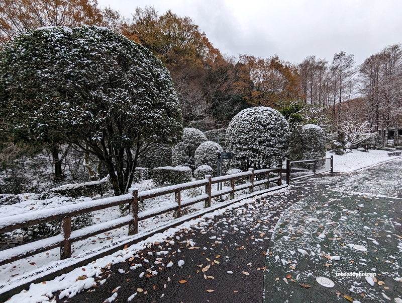 動物園入り口　（真冬、雪景色の愛媛県立とべ動物園　撮影2022年12月23日）