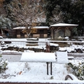 カピバラ舎　（真冬、雪景色の愛媛県立とべ動物園　撮影2022年12月23日）
