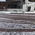バードゲージ前　（真冬、雪景色の愛媛県立とべ動物園　撮影2022年12月23日）