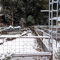 カピバラ舎　（真冬、雪景色の愛媛県立とべ動物園　撮影2022年12月23日）