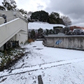 ペンギン舎　（真冬、雪景色の愛媛県立とべ動物園　撮影2022年12月23日）
