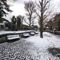 クマ舎前　（真冬、雪景色の愛媛県立とべ動物園　撮影2022年12月23日）