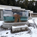 カワウソ舎・屋外プール　（真冬、雪景色の愛媛県立とべ動物園　撮影2022年12月23日）