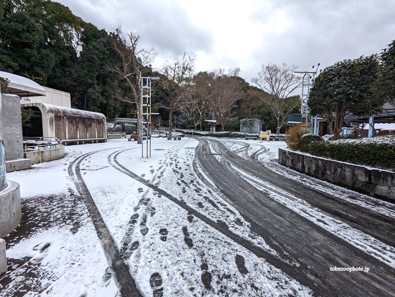 カワウソ舎前　（真冬、雪景色の愛媛県立とべ動物園　撮影2022年12月23日）