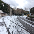 カワウソ舎前　（真冬、雪景色の愛媛県立とべ動物園　撮影2022年12月23日）