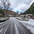 レッサーパンダ舎前　（真冬、雪景色の愛媛県立とべ動物園　撮影2022年12月23日）