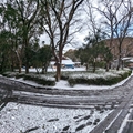 レッサーパンダ舎前　（真冬、雪景色の愛媛県立とべ動物園　撮影2022年12月23日）