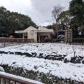 ラクダ舎　（真冬、雪景色の愛媛県立とべ動物園　撮影2022年12月23日）