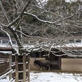水牛舎　（真冬、雪景色の愛媛県立とべ動物園　撮影2022年12月23日）