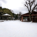 カンガルー舎　（真冬、雪景色の愛媛県立とべ動物園　撮影2022年12月23日）