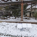 クロクモザル舎　（真冬、雪景色の愛媛県立とべ動物園　撮影2022年12月23日）