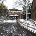 クロクモザル舎からトラ舎　（真冬、雪景色の愛媛県立とべ動物園　撮影2022年12月23日）