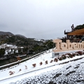 Tobemori・ジップライン　（真冬、雪景色の愛媛県立とべ動物園　撮影2022年12月23日）
