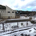ゾウ舎　（真冬、雪景色の愛媛県立とべ動物園　撮影2022年12月23日）