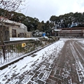 ゾウ舎前　（真冬、雪景色の愛媛県立とべ動物園　撮影2022年12月23日）