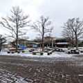ゾウ舎前・オアシスガーデン　（真冬、雪景色の愛媛県立とべ動物園　撮影2022年12月23日）