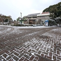 ゾウ舎前　（真冬、雪景色の愛媛県立とべ動物園　撮影2022年12月23日）