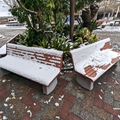 サーバルキャット舎前・ベンチ　（真冬、雪景色の愛媛県立とべ動物園　撮影2022年12月23日）