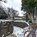 ライオン舎　（真冬、雪景色の愛媛県立とべ動物園　撮影2022年12月23日）