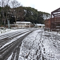 ピューマ舎前　（真冬、雪景色の愛媛県立とべ動物園　撮影2022年12月23日）
