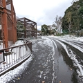 ピューマ舎前　（真冬、雪景色の愛媛県立とべ動物園　撮影2022年12月23日）