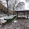 南米獣舎前　（真冬、雪景色の愛媛県立とべ動物園　撮影2022年12月23日）