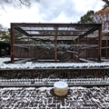 リスザル舎前　（真冬、雪景色の愛媛県立とべ動物園　撮影2022年12月23日）
