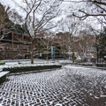 南米獣舎前　（真冬、雪景色の愛媛県立とべ動物園　撮影2022年12月23日）