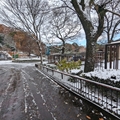 バク舎　（真冬、雪景色の愛媛県立とべ動物園　撮影2022年12月23日）