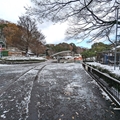 ラマ舎前　（真冬、雪景色の愛媛県立とべ動物園　撮影2022年12月23日）