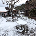 ふれあい売店前　（真冬、雪景色の愛媛県立とべ動物園　撮影2022年12月23日）
