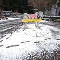ふれあい売店前・ホワイトタイガーの看板　（真冬、雪景色の愛媛県立とべ動物園　撮影2022年12月23日）