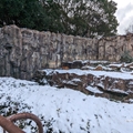 トラ舎　（真冬、雪景色の愛媛県立とべ動物園　撮影2022年12月23日）