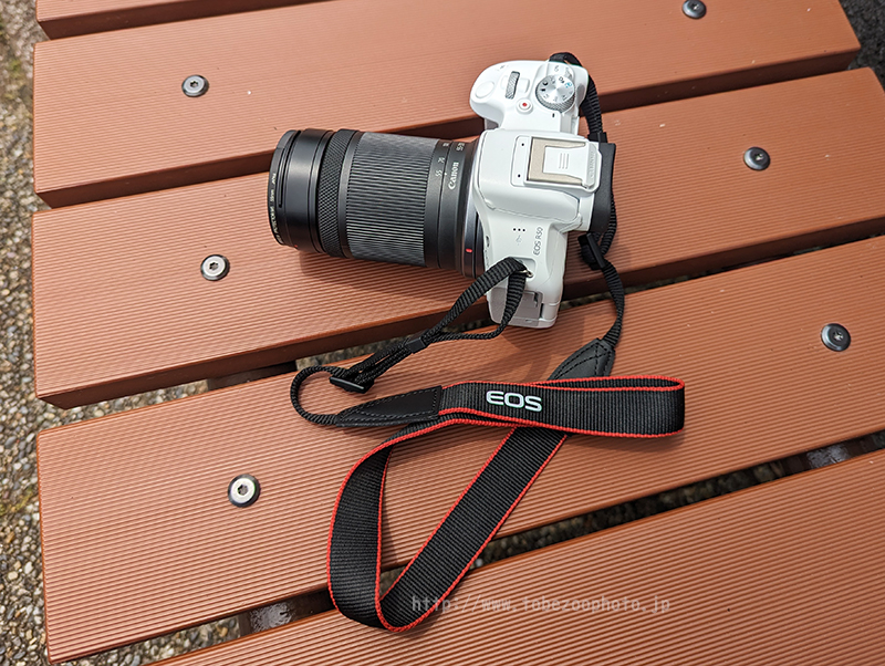 Canon EOS R50EY _uY[LbgAƂדɂĎBe܂B