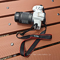 Canon EOS R50・レンズ ダブルズームキット、とべ動物園にて撮影会をしました。