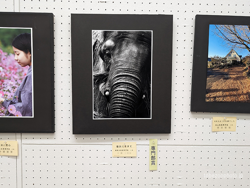 第36回愛媛県高等学校文化連盟写真展