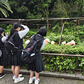 wZAʐ^啔@kZ\uKiQƂדAЂߐNZ^[j 2025N524A25
