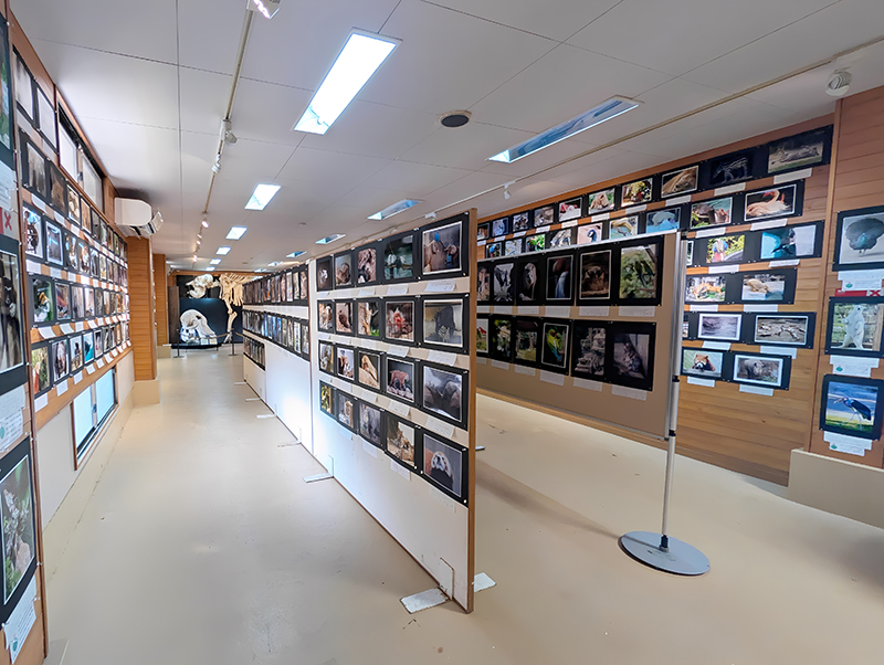 第14回 とべ動物園写真コンクール 写真展のお知らせ(2025年11月)