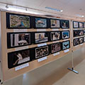 第14回 とべ動物園写真コンクール 写真展のお知らせ(2025年11月)