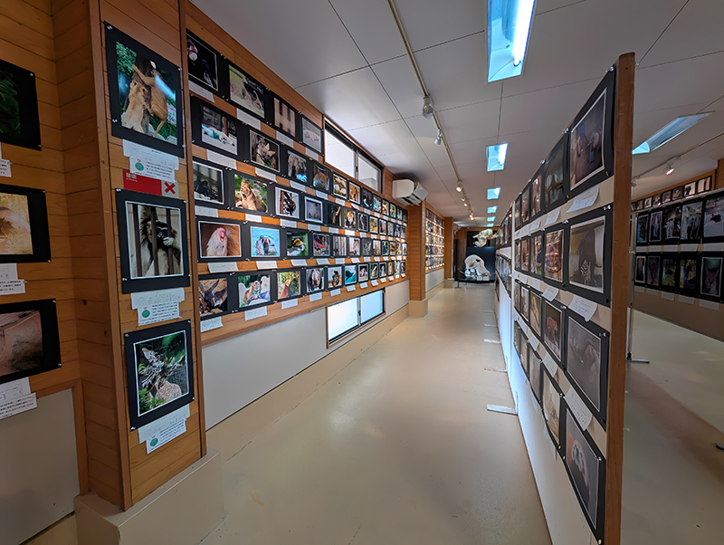 14 Ƃדʐ^RN[ ʐ^Ŵm点i2025N11j