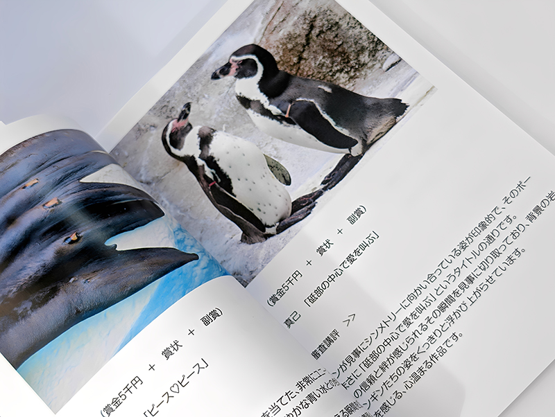 栄光の証!特別限定「愛媛県立とべ動物園 写真コンクール 記念写真集」