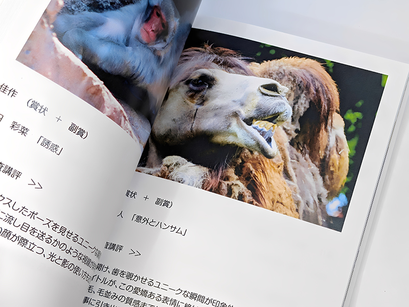 栄光の証!特別限定「愛媛県立とべ動物園 写真コンクール 記念写真集」