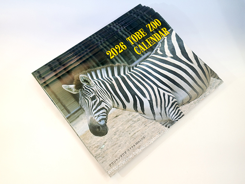 愛媛県立とべ動物園オリジナルカレンダー2026のご紹介です。