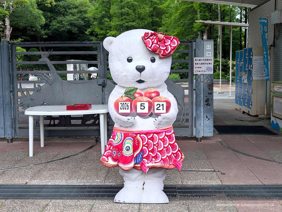 かわいいカレンダー(とべ活記録 2026年5月21日)