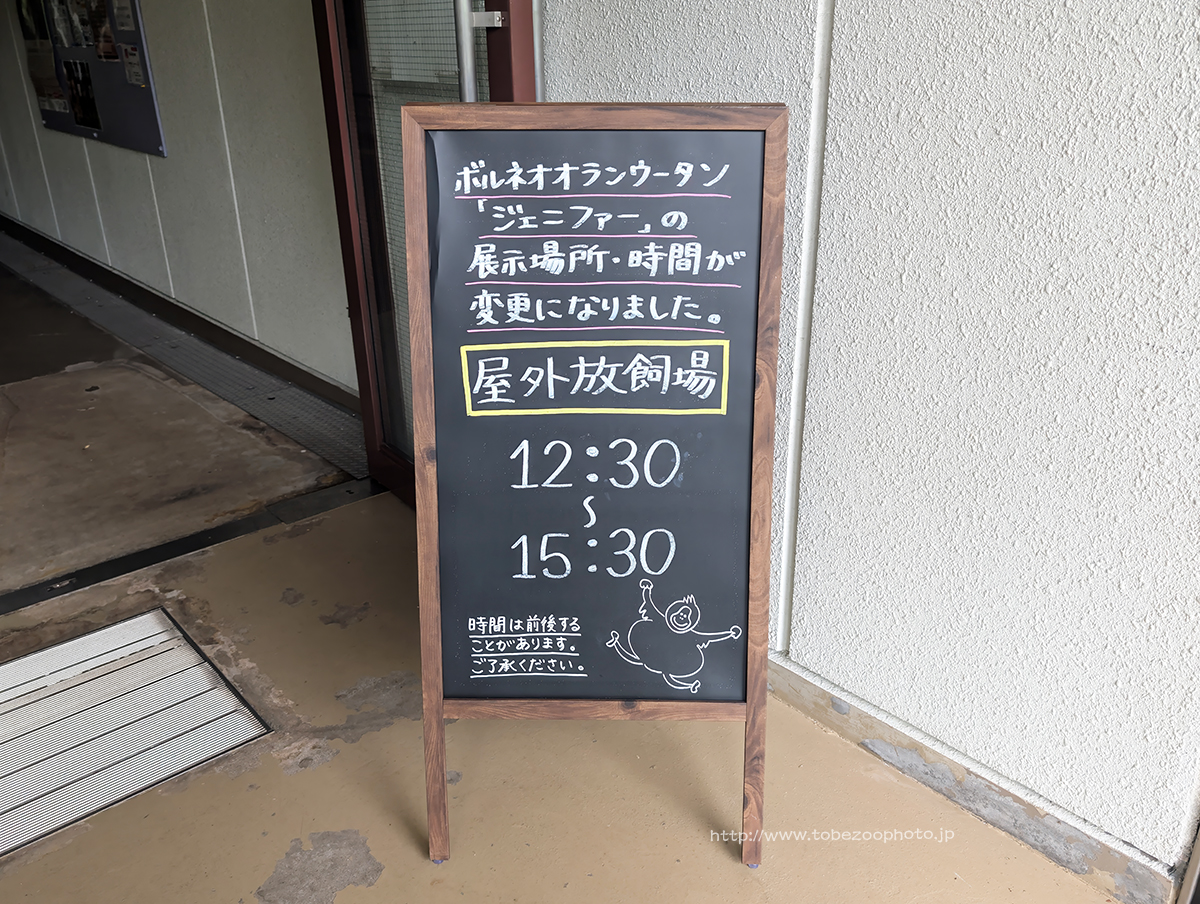 ほっこりするお出迎え